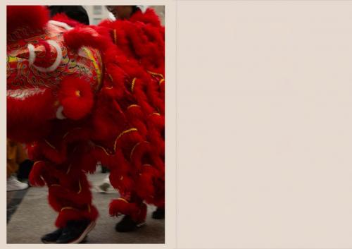 Año del Dragón Celebración del Año Nuevo chino jorge olas Página 16