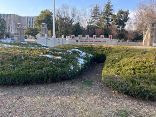 WhatsApp Image 2026-01-26 at 09.06.11